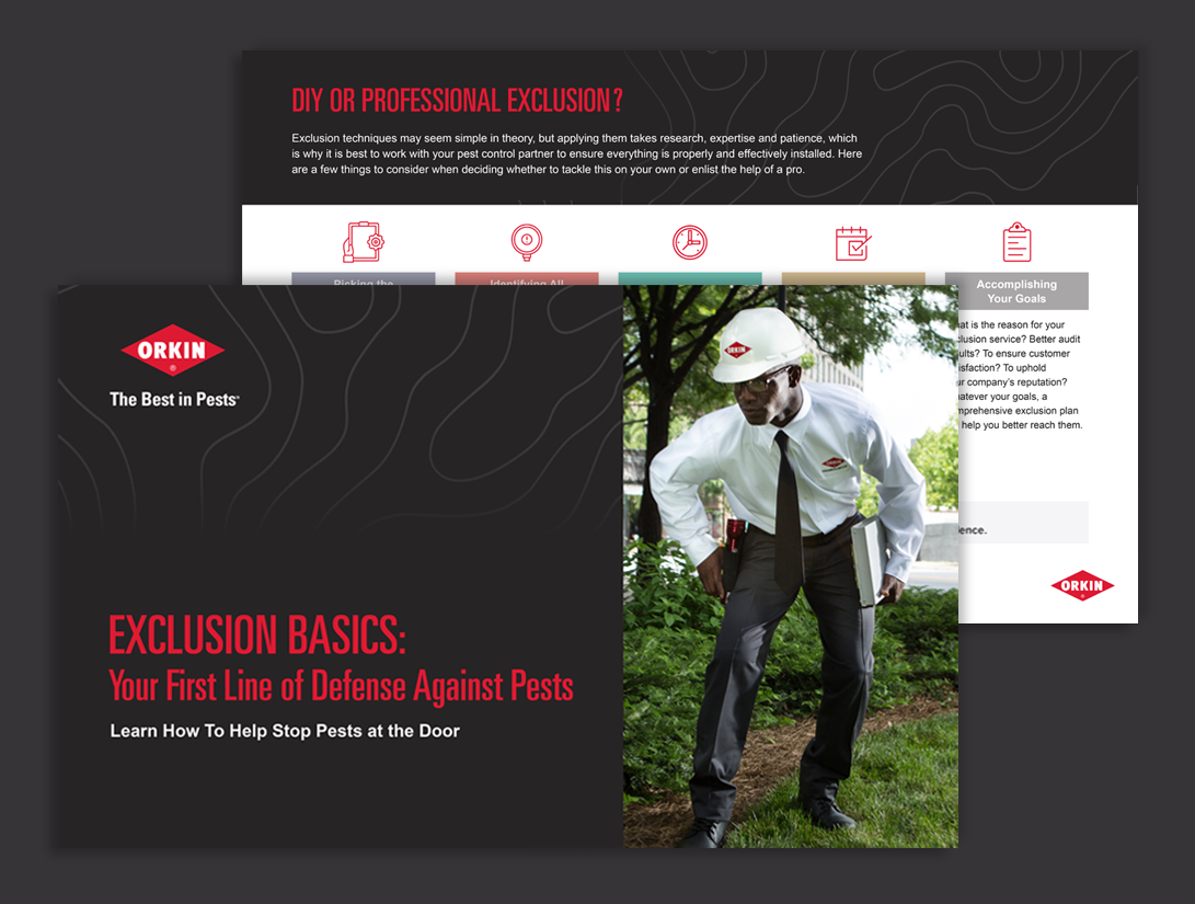 Exclusion Basics: Your First Line of Defense Against Pests